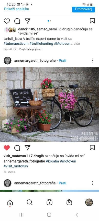 Bed & Breakfast Antico Motovun Extérieur photo