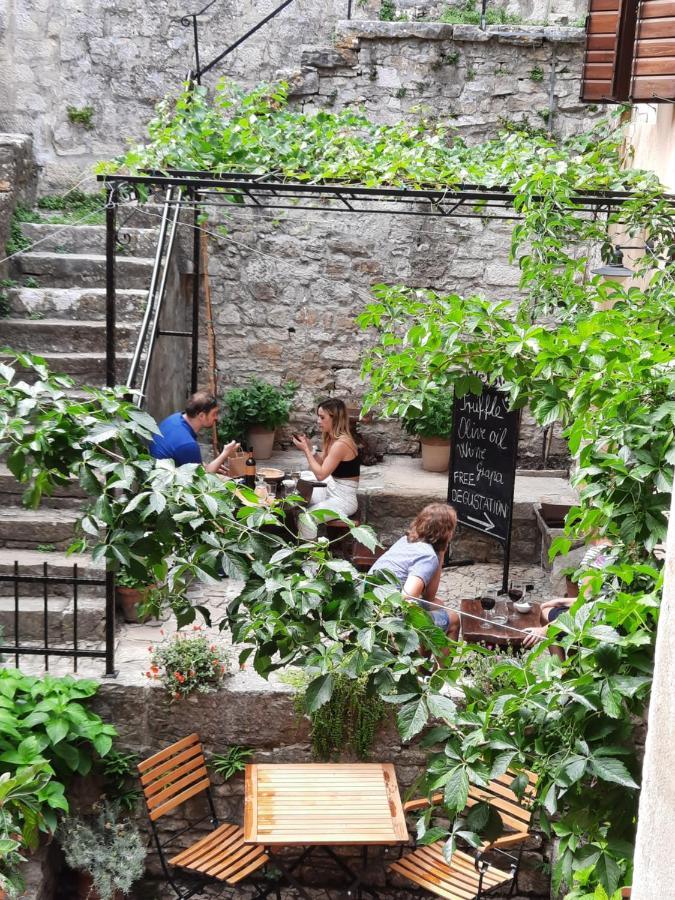 Bed & Breakfast Antico Motovun Extérieur photo