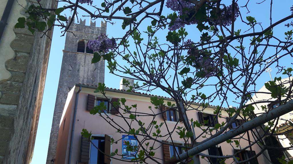 Bed & Breakfast Antico Motovun Extérieur photo