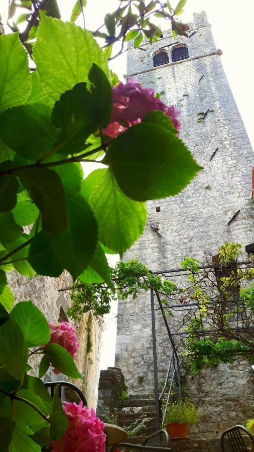 Bed & Breakfast Antico Motovun Extérieur photo